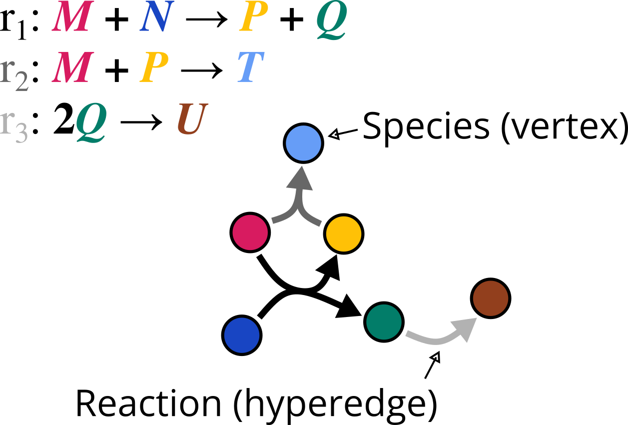 Three reactions are shown, r1: M and N go to P and Q; r2: M and P go to T; and r3: 2Q go to U. Each reaction and each species is given a different color. This small reaction network of six species and three reactions is represented as a directed hypergraph, where vertices (chemical species) are represented by circles filled with the color corresponding to one of M, N, P, Q, T, or U and hyperedges (reactions) are represented by curved arrows, some of which have multiple tails or heads, given a color corresponding to one of r1, r2, or r3. one vertex (T) is labeled 'species (vertex)', and similarly, one hyperedge (r3) is labeled 'reaction (hyperedge)'.